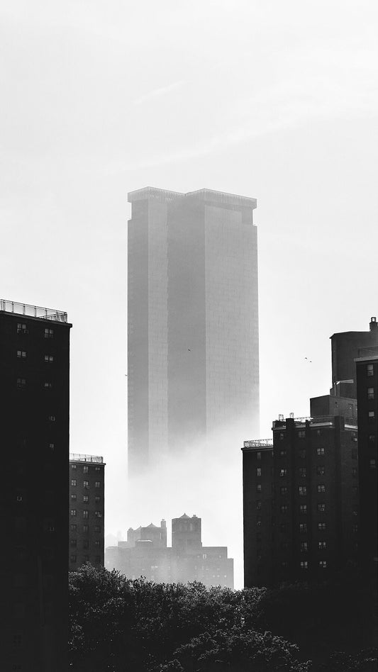 7881982
